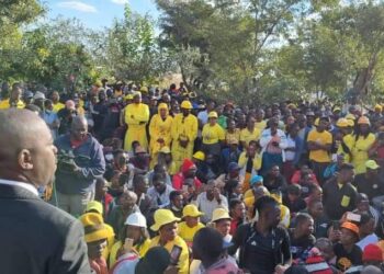 Chamisa vs Sikhala’s supporters clash at Moreblessing Ali’s funeral
