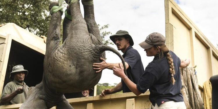 2 k!lled by elephants in Zvimba