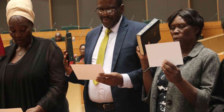 Beaming Tshabangu sworn in