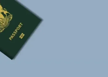 Zimbabwe Johannesburg Passport Centre To Open