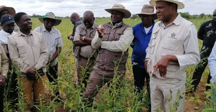 Irrigation scheme to benefit Kanyemba villagers