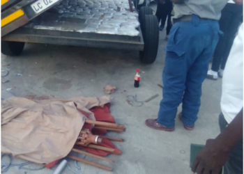 Police, ZIMRA officials seize 48kg of dagga at Beitbridge Border Post