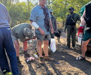 Former Zimbabwe cricketer @ttacked by leopard