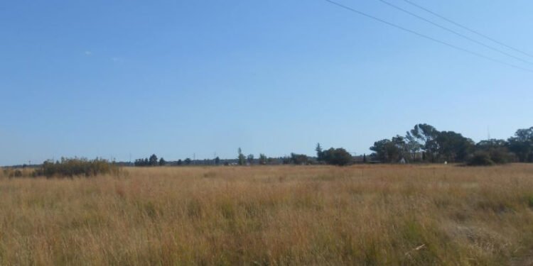 Zanu PF councillor’s relationship with villagers turns sour