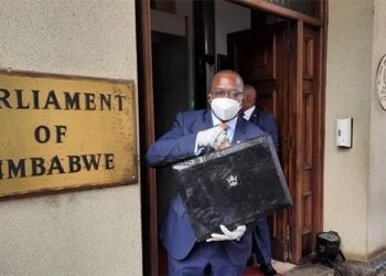 Black market rates shock Mthuli Ncube