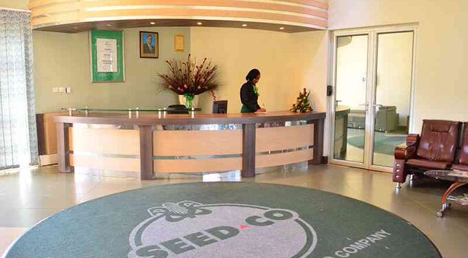 SeedCo to introduce  drought-resistant small grains