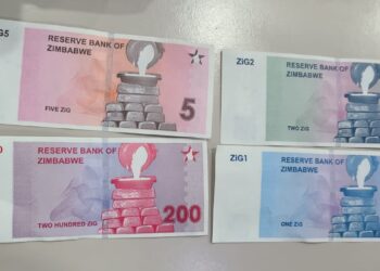 ZAPU denounces new currency