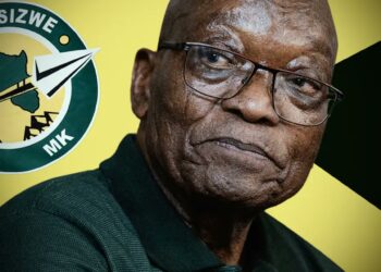 Chin’ono gives thanks his followers for supporting his views on Zuma Presidential Saga