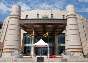 Zim Witnesses Bank Failures, Leaving Depositors in the Lurch
