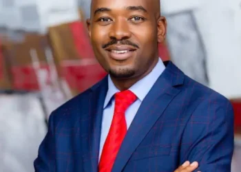 ZIMBABWE’S STORY MUST CHANGE… – CHAMISA