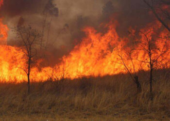 Extreme weather conditions fuel  veld fire crisis