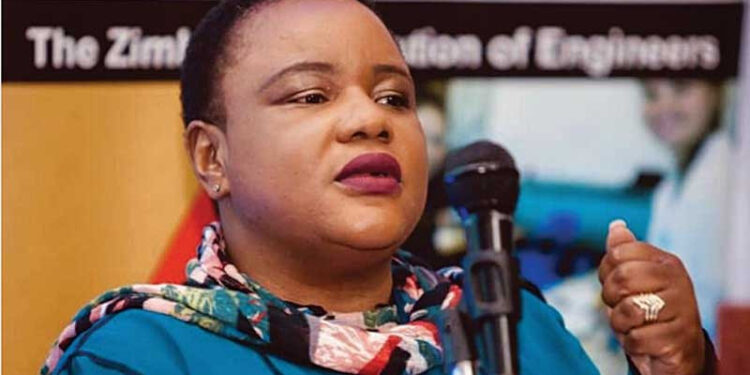 Zinwa restarts water production at Dande