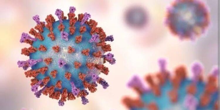 There is no spike in respiratory Syncytial Virus cases says NICD