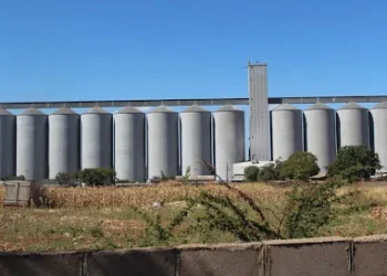 Govt says we have grain availability till next harvest