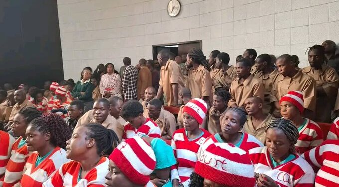 Mnangagwa’s regime tarnishing it’s own image – Mkwananzi