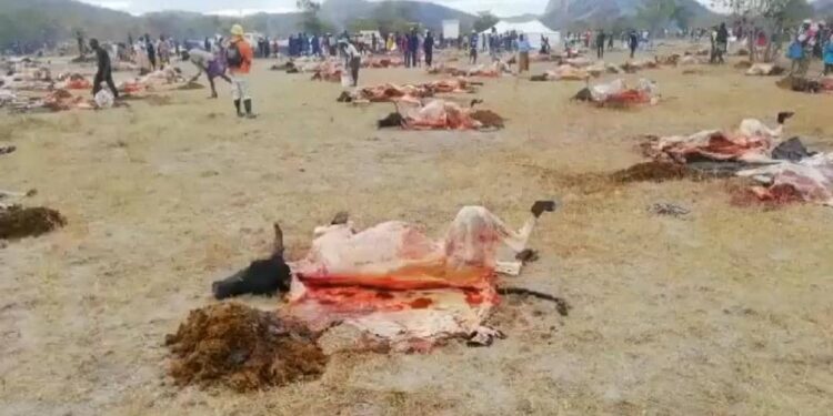 Mutoko community denies allegations of Muslims slaughtering cows & taking their bl00d