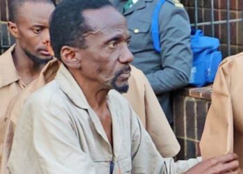 JUST IN: Jameson Timba & 77 party activists denied bail