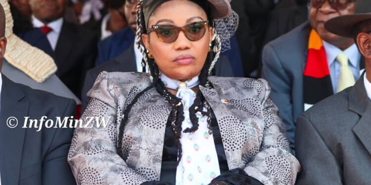 ZEC paid US$5.4 million for fancy V11 display boxes that it never used