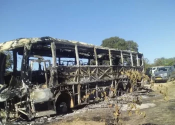 Just In: Passion Link Bus licence suspended