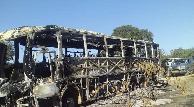 Just In: Passion Link Bus licence suspended