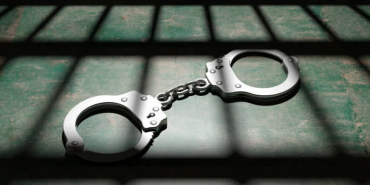 Man (24) covers himself in faeces to avoid court appearance