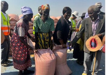 Gvt distributes grain to over 670 families in Mudzi