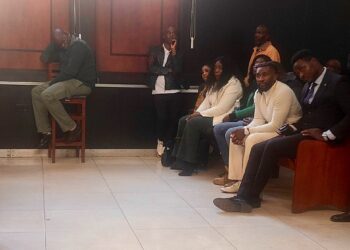 Passion Java attends Moses Mpofu & Mike Chimombe’s bail hearing
