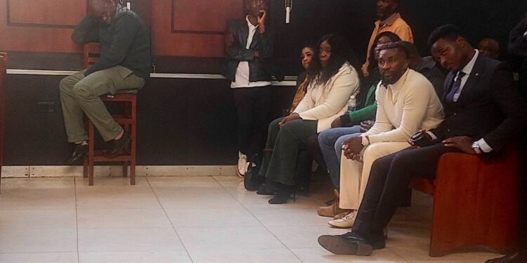 Passion Java attends Moses Mpofu & Mike Chimombe’s bail hearing
