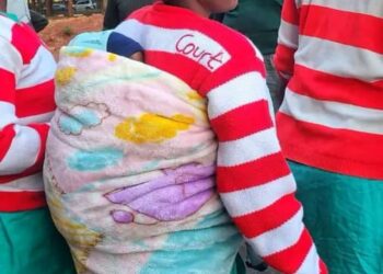 Free the toddler: Job Sikhala demands release of 1-year-old from jail