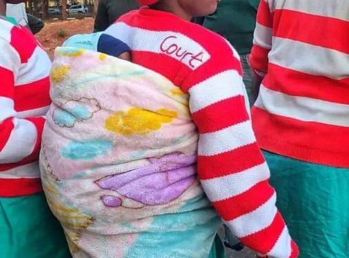 Free the toddler: Job Sikhala demands release of 1-year-old from jail