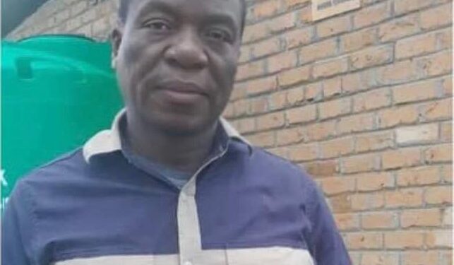 President Emmerson Mnangagwa lookalike Image: Internet