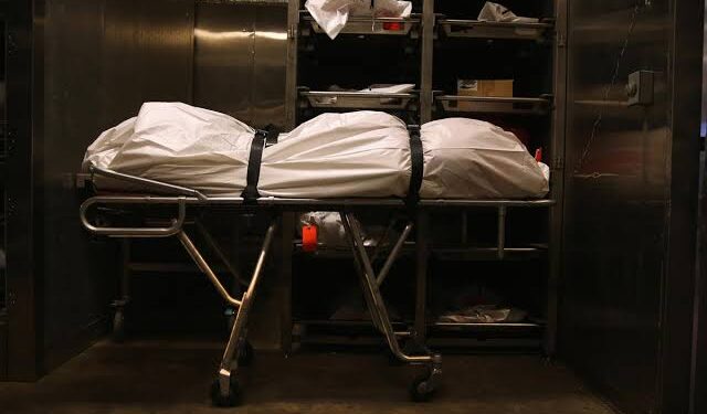 Corpse In Mortuary Image: Internet
