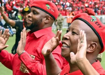 SA opposition (EFF) in turmoil as Malema’s deputy jumps ship