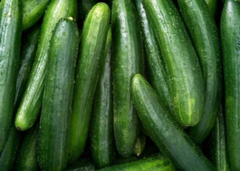 CUCUMBERS Image: Internet