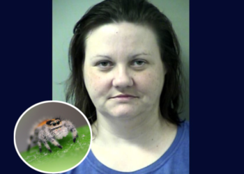 Woman jailed for k!lling spider