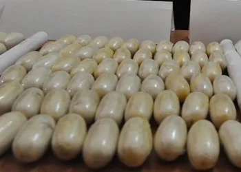 Police seize two tonnes of coc@ine in Guinea-Bissau