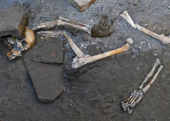 Human remains found in Mutare