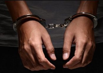 Four Zimboz caught smuggling Land Cruiser