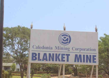  Worker fatally crushed by falling rock