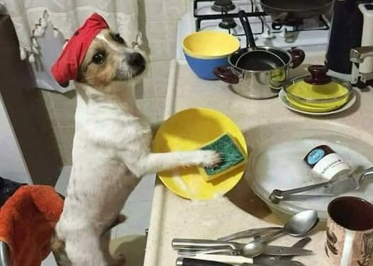 Zimbabwean woman returns lobola to husband after he refuses to wash dishes in Australia