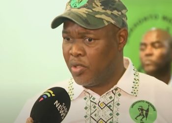 Umkhonto weSizwe Party (MKP) Secretary- General resigns