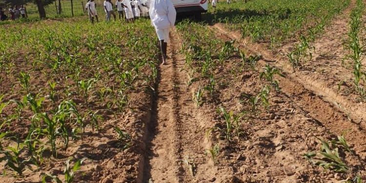 PICTURES: Chivayo’s donated bus carrying Mapostori veers off road & lands in maize field