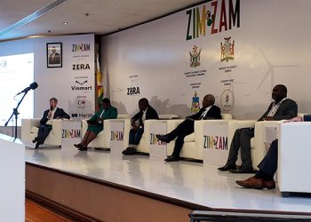 Zimbabwe-Zambia Energy Projects Summit underway in Victoria Falls