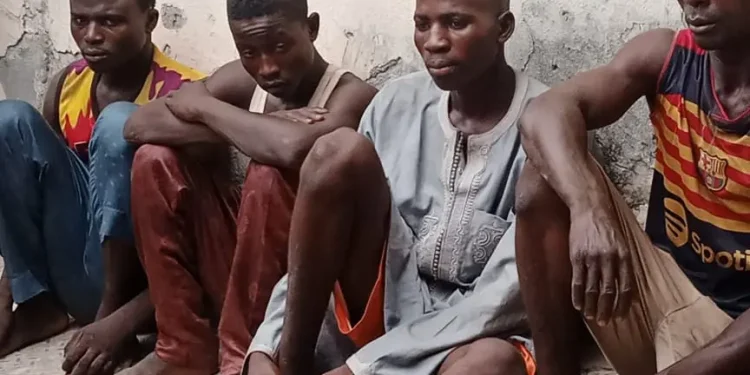 Four arrested for ra_pe, chopping off boy’s manhood