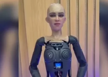 VIDEO: Zimbabwe introduces it’s first humanoid robot, Sophia