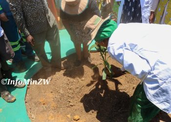 Oppah Muchinguri leads the National Tree Planting Day commemoration