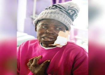 Local woman thwarts lion _ttack in daring struggle