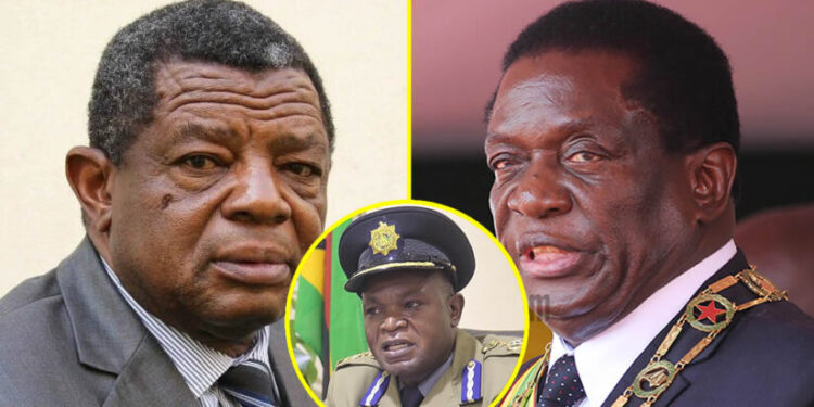 ZRP CANCELS leave and off days for EVERY police officer as Cde Bombshell Blessed Geza organises a massive protest against Mnangagwa on 31 March
