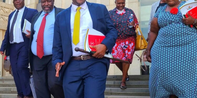 Tshabangu is CCC Secretary general, Court rules