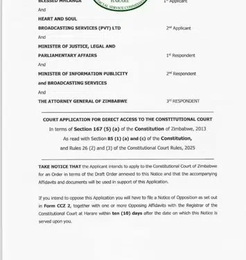 Jailed HStv journalist Mhlanga takes freedom bid to Con Court